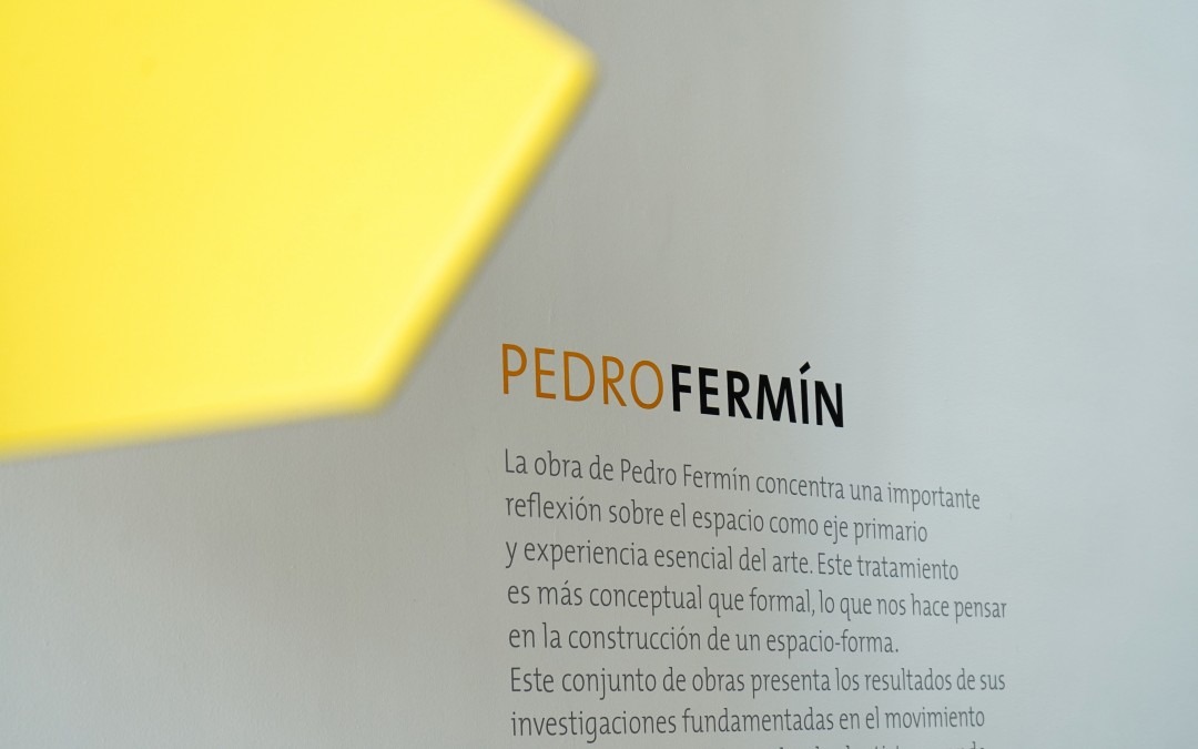 La Galería Freites inicia el año con obras nuevas de Pedro Fermín